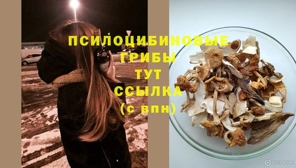 винт Баксан