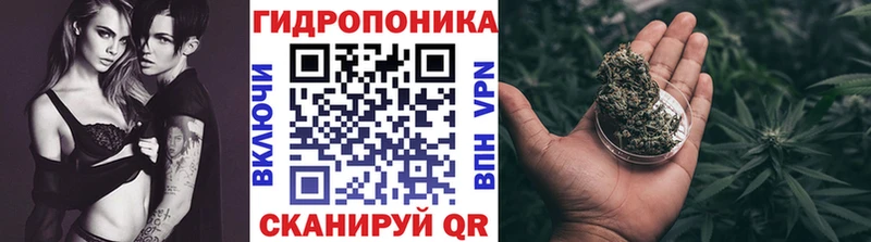 МАРИХУАНА план  как найти наркотики  это официальный сайт  Ульяновск 